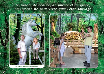 Exposition La Forêt Enchantée (26) Licorne